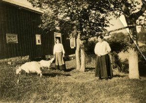 Maria og Ragna i hagen med to geiter: