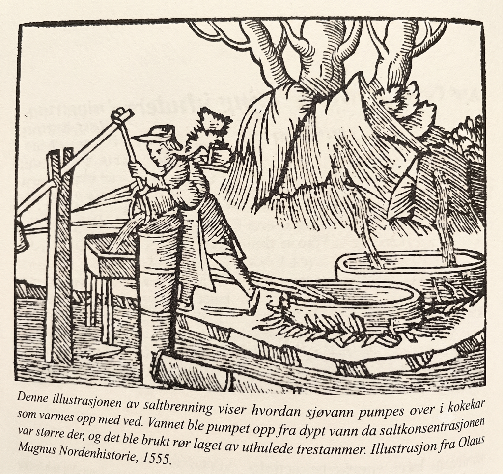 Illustrasjon fra Olaus Magnus Nordenhistorie 1555. Sjøvann pumpes opp fra dypt vann da saltkonsentrasjonen var større der, og det ble brukt rør laget av uthulede trestammer.