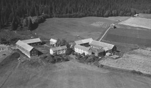 Bosnes-gårdene i 1954